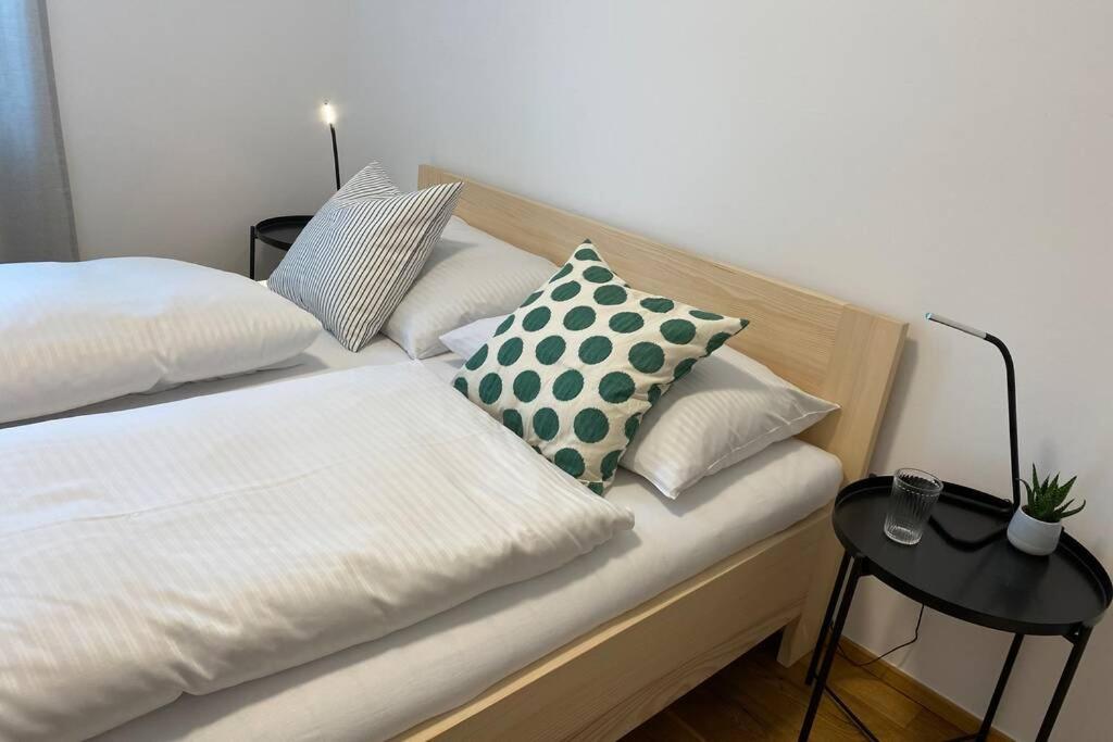 גוציס Wohnung 2 In Zentraler Lage Im Rheintal מראה חיצוני תמונה